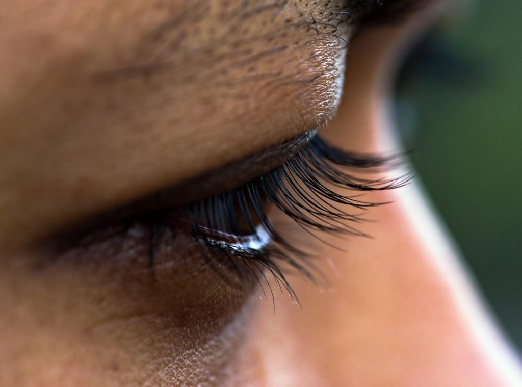 brow lamination trend