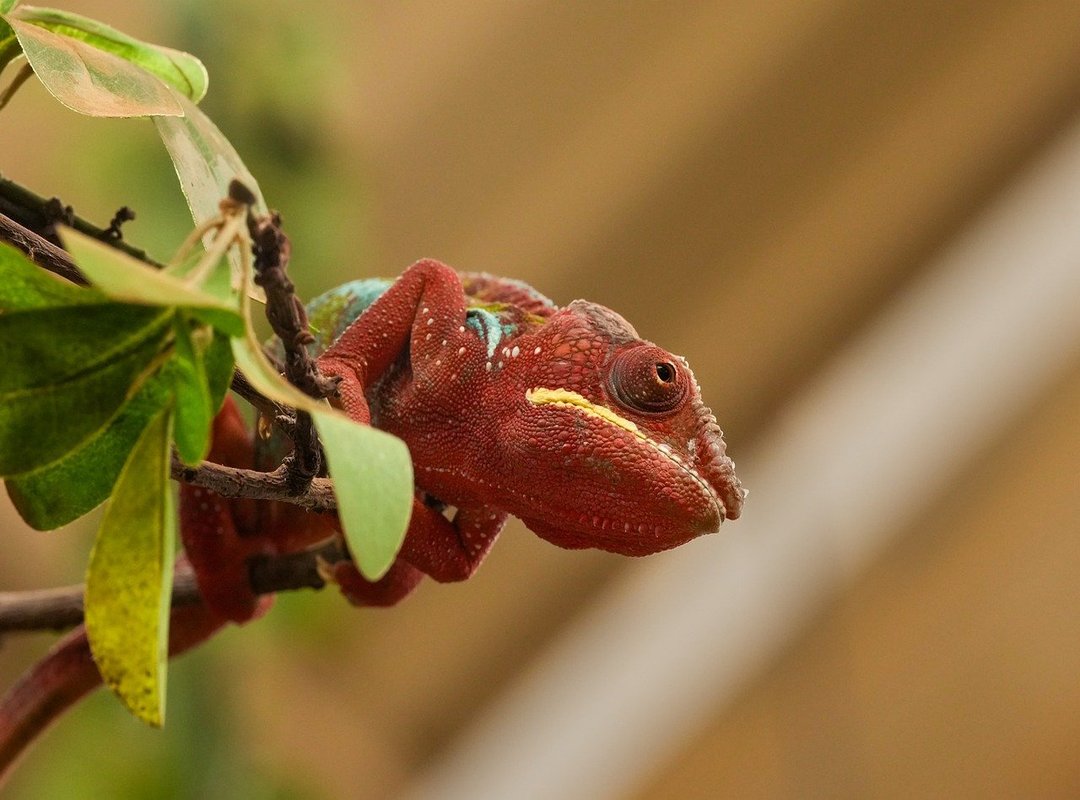 concealer tricks flawless