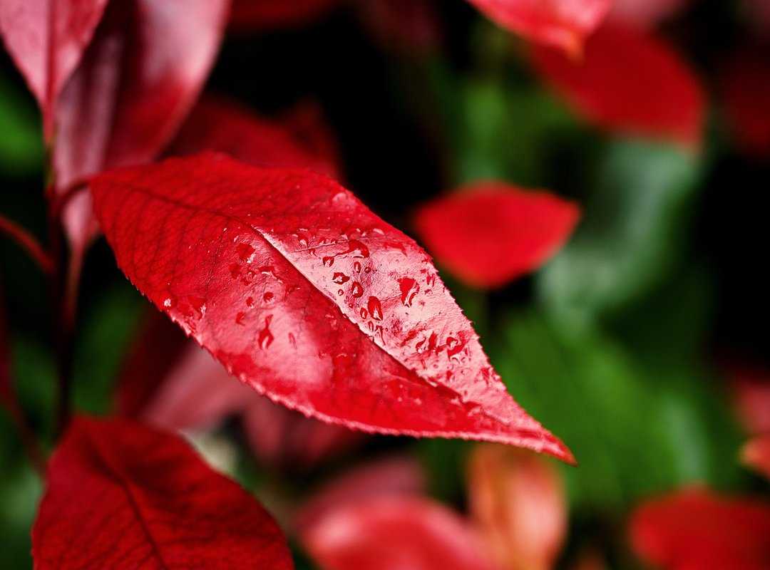 moisturizing tips season