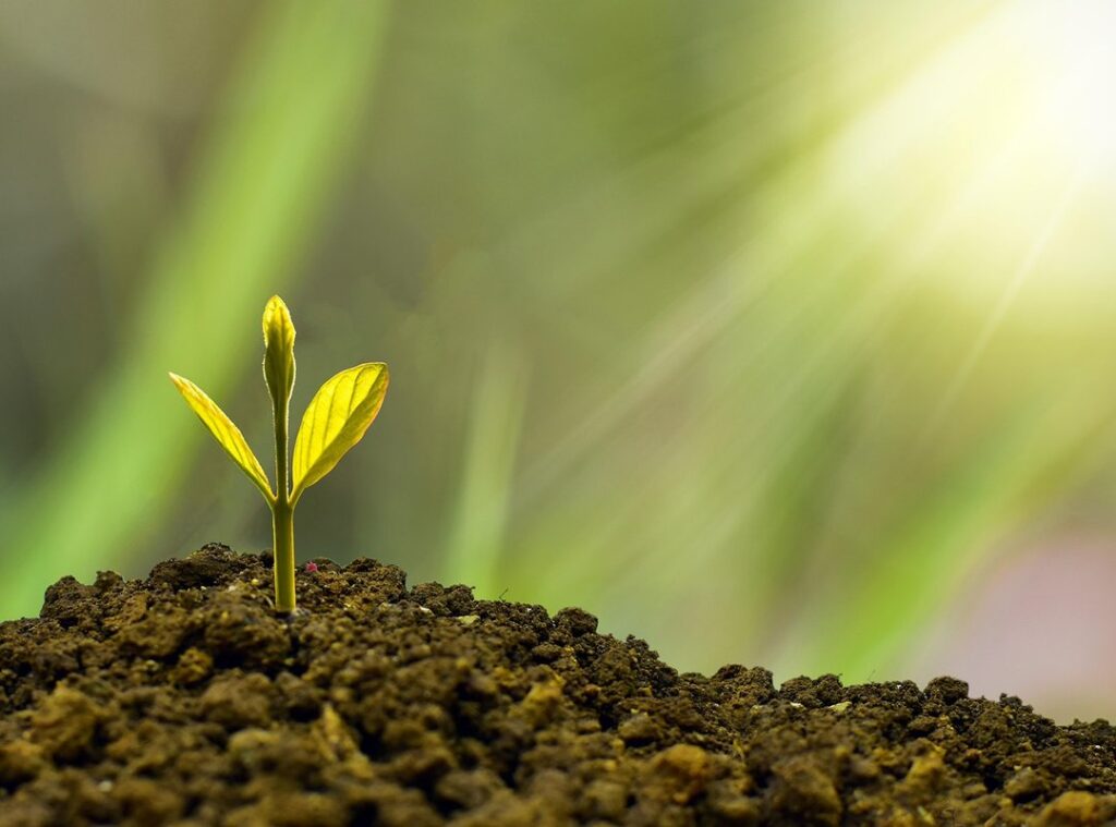sustainable beauty trend