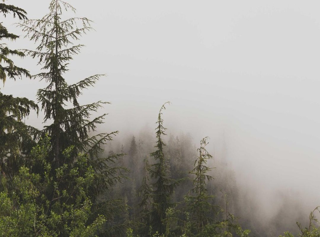 The Practical Guide: Pain, Cost, and Aftercare