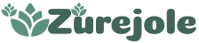 zurejole.com_logo